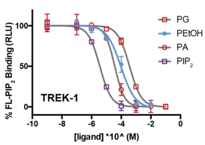 Figure from Chung, Petersen et al., JMB 2019