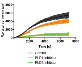 Live-Cell Real-Time PLD Assay