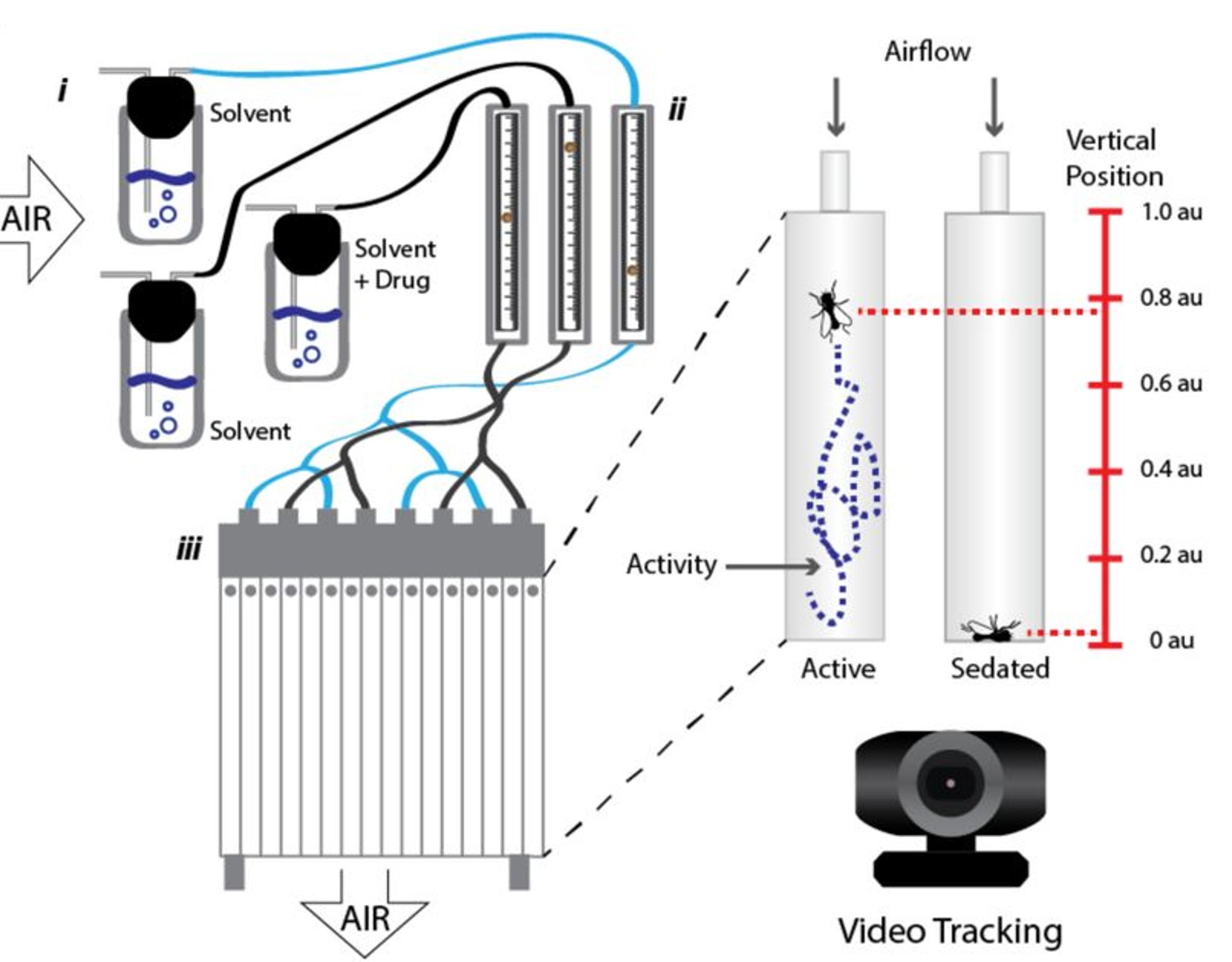 VAAPR Anesthetic Sensitivity Rig